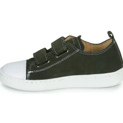 Citrouille et Compagnie - NADIR