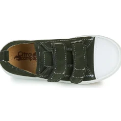 Citrouille et Compagnie - NADIR