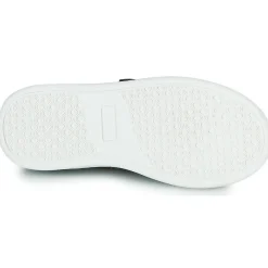 Citrouille et Compagnie - NADIR