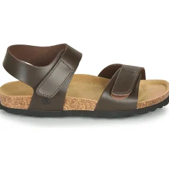 Citrouille et Compagnie - BELLI JOE