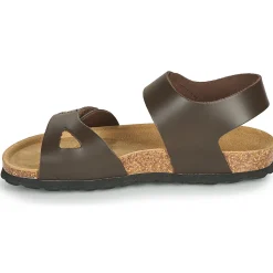 Citrouille et Compagnie - BELLI JOE