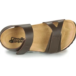 Citrouille et Compagnie - BELLI JOE