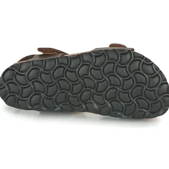 Citrouille et Compagnie - BELLI JOE