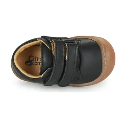 Citrouille et Compagnie - PIOTE