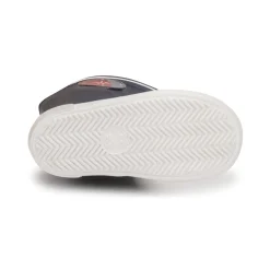 Citrouille et Compagnie - PRADSI