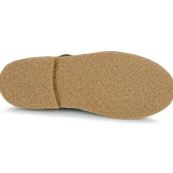 Citrouille et Compagnie - HOUVETTE