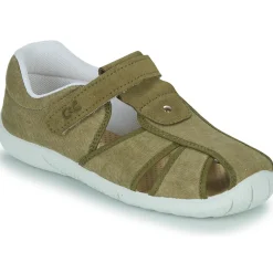 Citrouille et Compagnie - FIJOSAN