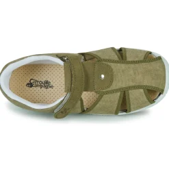 Citrouille et Compagnie - FIJOSAN