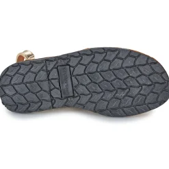 Citrouille et Compagnie - PAILETTE