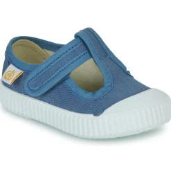 Citrouille et Compagnie - ALUNA