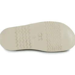 Citrouille et Compagnie - ASMILO