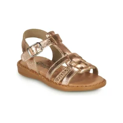 Citrouille et Compagnie - ROLUI