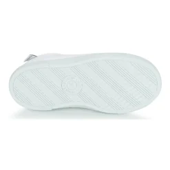 Citrouille et Compagnie - RIVIALELLE