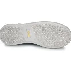 Citrouille et Compagnie - MISTELLE