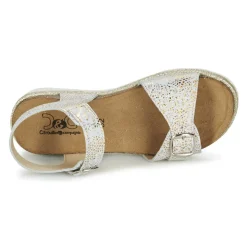 Citrouille et Compagnie - GUAFRETTE