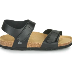 Citrouille et Compagnie - BELLI JOE