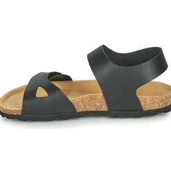 Citrouille et Compagnie - BELLI JOE