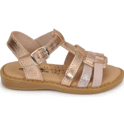 Citrouille et Compagnie - ROLUI