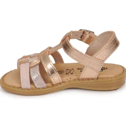 Citrouille et Compagnie - ROLUI