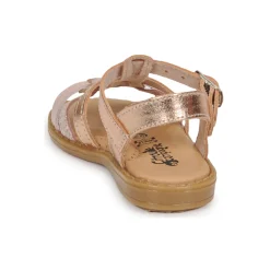 Citrouille et Compagnie - ROLUI