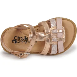 Citrouille et Compagnie - ROLUI