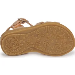 Citrouille et Compagnie - ROLUI