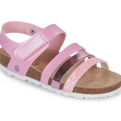 Citrouille et Compagnie - ZELLIE