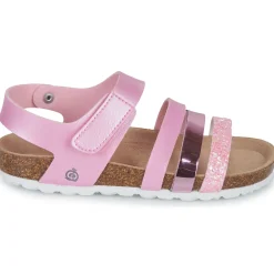 Citrouille et Compagnie - ZELLIE