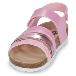 Citrouille et Compagnie - ZELLIE