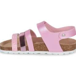 Citrouille et Compagnie - ZELLIE