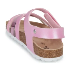 Citrouille et Compagnie - ZELLIE