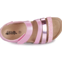 Citrouille et Compagnie - ZELLIE