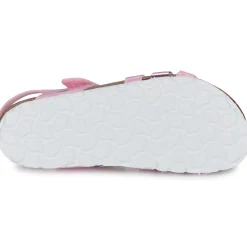 Citrouille et Compagnie - ZELLIE