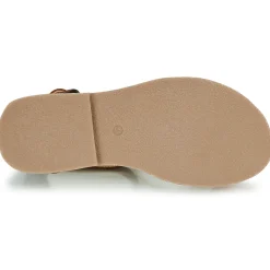 Citrouille et Compagnie - GITANOLO