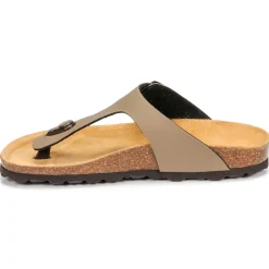 Citrouille et Compagnie - OKOKO