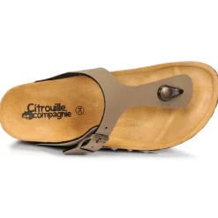 Citrouille et Compagnie - OKOKO