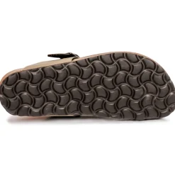 Citrouille et Compagnie - OKOKO