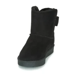 Citrouille et Compagnie - NOCHO