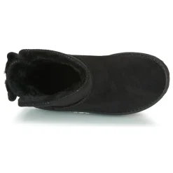 Citrouille et Compagnie - NOCHO