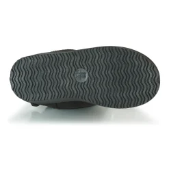 Citrouille et Compagnie - NOCHO