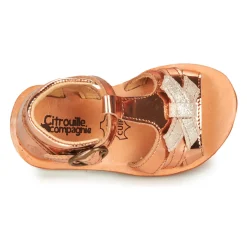 Citrouille et Compagnie - MINIMOME