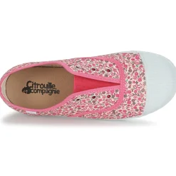 Citrouille et Compagnie - RIVIALELLE