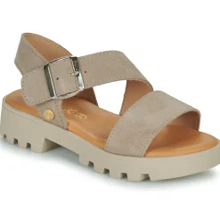 Citrouille et Compagnie - PIPOTI