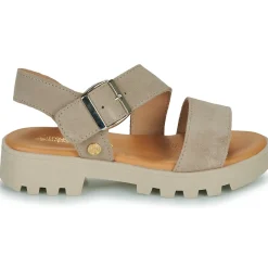 Citrouille et Compagnie - PIPOTI