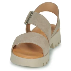 Citrouille et Compagnie - PIPOTI