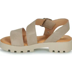 Citrouille et Compagnie - PIPOTI