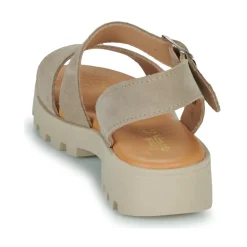 Citrouille et Compagnie - PIPOTI