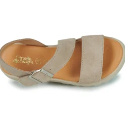 Citrouille et Compagnie - PIPOTI