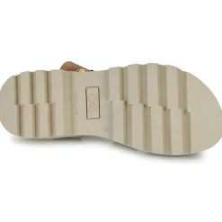 Citrouille et Compagnie - PIPOTI