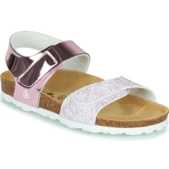 Citrouille et Compagnie - BELLI JOE